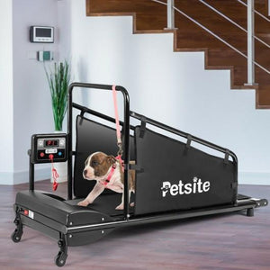Treadmill For Pets with Remote Control - Self Care Fitnezz